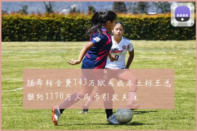 杨希转会费143万欧或成本土标王总额约1170万人民币引发关注
